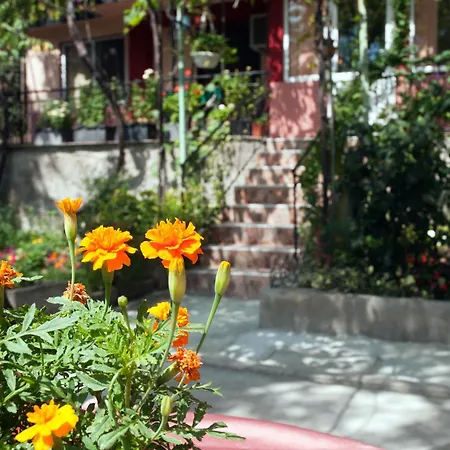 New Worker - Wo Za Diman Gæstehus