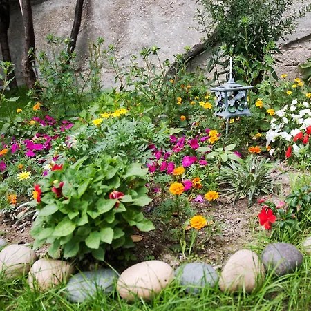 Gasthuis New Worker - Wo Za Diman