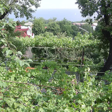 New Worker - Wo Za Diman Gasthuis