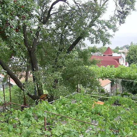 New Worker - Wo Za Diman 2*