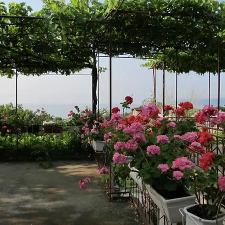 New Worker - Wo Za Diman Gasthuis 2*