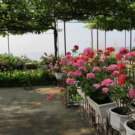 Gasthuis New Worker - Wo Za Diman Varna