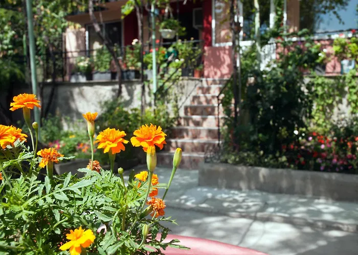 New Worker - Wo Za Diman 招待所