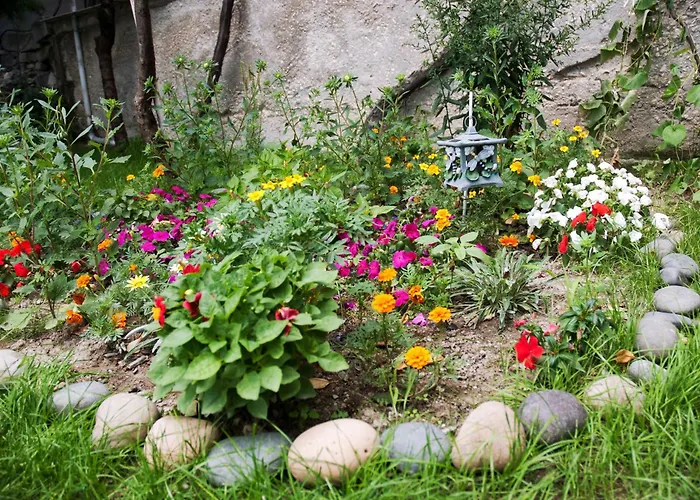 招待所 New Worker - Wo Za Diman