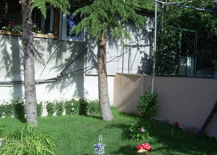 New Worker - Wo Za Diman 瓦爾納