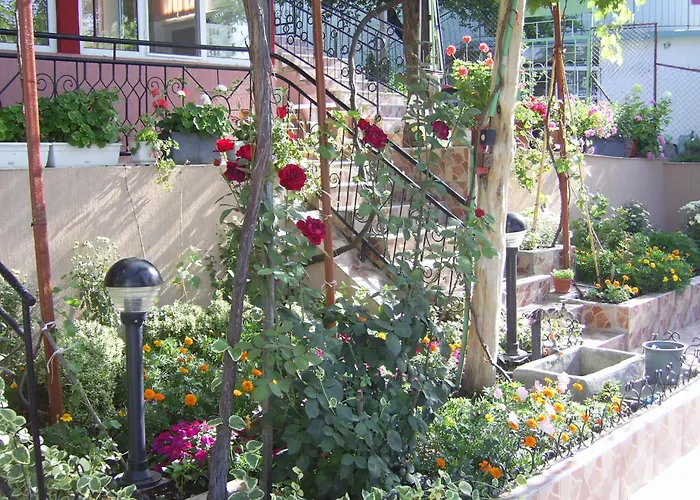 New Worker - Wo Za Diman 2* 瓦爾納