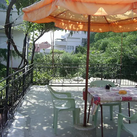 New Worker - Wo Za Diman 2* Warna