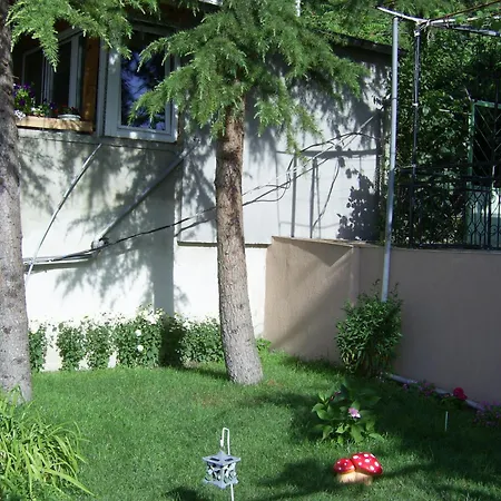 New Worker - Wo Za Diman Warna