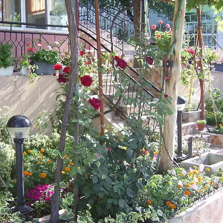 New Worker - Wo Za Diman 2* Warna