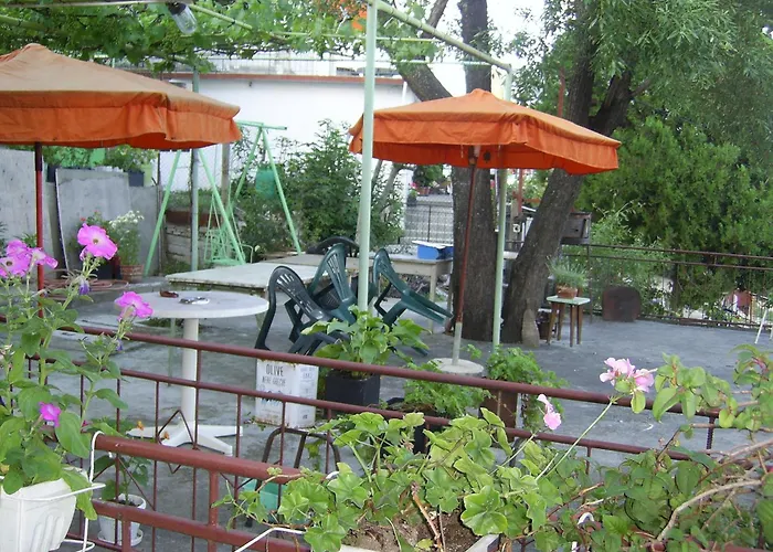 New Worker - Wo Za Diman Varna