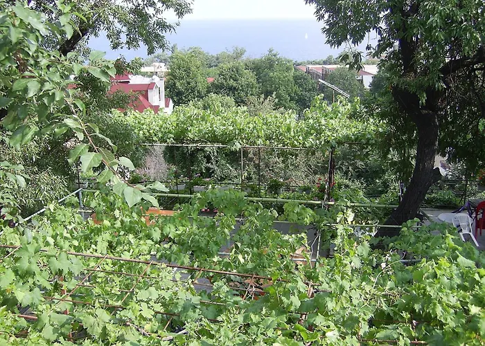 New Worker - Wo Za Diman Affittacamere