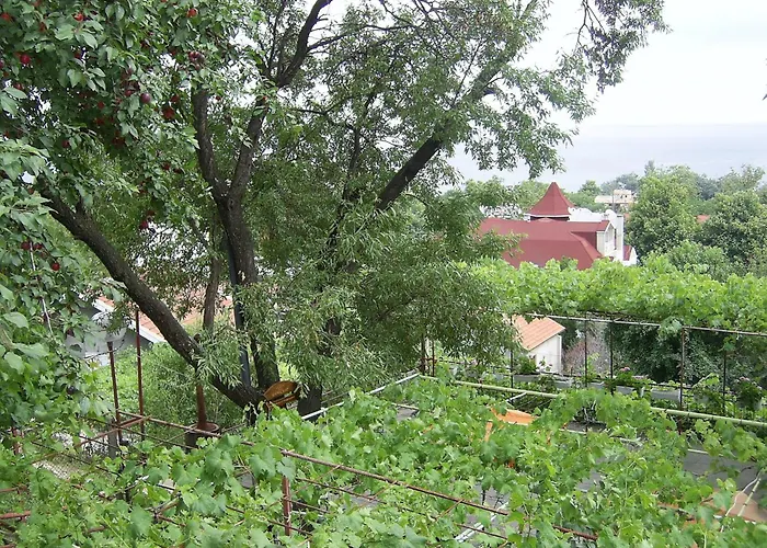 New Worker - Wo Za Diman 2*