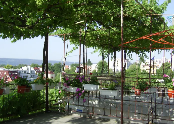 New Worker - Wo Za Diman 2* Varna