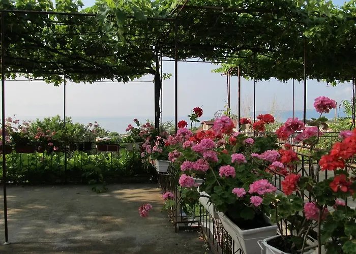 New Worker - Wo Za Diman Affittacamere 2*