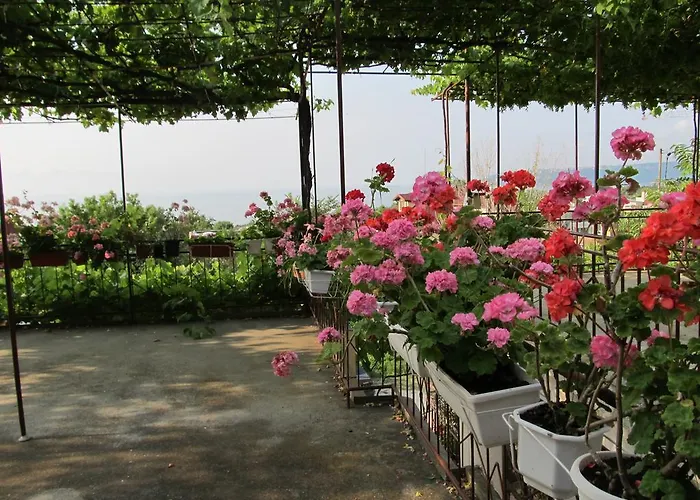 Affittacamere New Worker - Wo Za Diman Varna